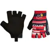Image de Santini Gants TOUR DE FRANCE Aigle-Châtel 2022