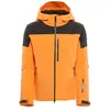 Image de Dainese Snow Veste Speed Demon Lab Domeair Pro