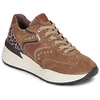Image de Baskets basses NeroGiardini  I617372D P31987837