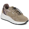 Image de Baskets basses NeroGiardini  I617387D P31987839