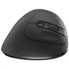 Image de Ewent EW3229 (Sans fil), Souris, Gris, Noir