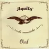 Image de Aquila 1O Turkish Oud Cordes variées autres instruments