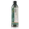 Image de eLGON green Imagea Absolute Shampoing 1000 ml