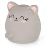 Image de Gomme parfumée Legami Chat