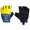Image de Santini TOUR DE FRANCE Gants Col de la Madeleine 2025