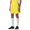 Image de Kappa Shorts Junior Domicile As Monaco Kombat Ryder 24/25