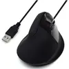 Image de Ewent EW3157 (Filaire), Souris, Noir
