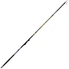Image de Sele Canne Bolognaise Corsair