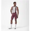 Image de Castelli, Hommes, Pantalon de cyclisme, Premio Evo Bibshort (M), Bleu, Rouge, Blanc, Multicolore
