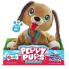Image de Les toufous - chiens asst (chien marron
