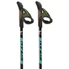 Image de Fizan Bâtons Speed 75-125 cm