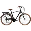 Image de Adriatica Vélo électrique New Age M80 One Size