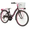 Image de Adriatica Vélo Ctb 24´´ 6s One Size