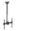 Image de TECHly ICA--CPLB 944S - Support - full-motion - pour TV LCD - acier - noir - Taille d'écran : 32"-55" - montable au plafond
