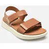 Image de D XAND 2S 1 par Geox Marron 39 Femme