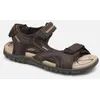 Image de U S.STRADA D par Geox Marron 44 Homme