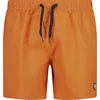Image de Cmp Short De Bain 34r9037 S