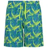Image de Cmp Slip De Bain Boxer 34r9087 54