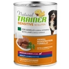 Image de 400g Natural Trainer Pate Monoproteico Medium & Maxi Adult agneau, céréales complètes nourriture humide pour chien