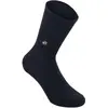 Image de Alpinestars, Hommes, Chaussettes de sport, Chaussettes 24 Alps Crew (M), Noir