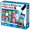 Image de Le Corps Humain Aux Rayons X HEADU Multicolore