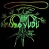 Image de Momovudu - édition colorée