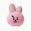 Image de Peluche BTS COOKY 38CM coussin mignon