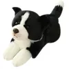 Image de Animal en peluche Chien Rauque 18cm - Noir