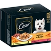 Image de 12x 100g Cesar Selektion Fleisch und Gemüse in Gelee Hundefutter nass