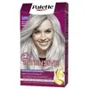 Image de PALETTE INTENSIVE teinture #U71-gris argenté