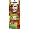 Image de Palette Natural Tinte 8.77 - Cobrizo Intenso - Schwarzkopf - Tinte para el pelo - Femme - Rouge - Roux - Crème