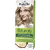 Image de Palette Nc 8.1 Rubio Claro Pincel Es