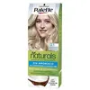 Image de PALETTE TEINTURE NATURELLE #12.1 - blond extra clair cendré 1 u