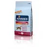 Image de Croquettes advance pour chiens agneau et riz sac 12 kg