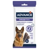 Image de 155g Advance Articular Stick pour chien - Friandises pour chien