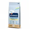 Image de Croquettes advance pour chiens medium puppy protect sac 12 kg