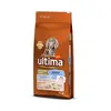 Image de 12kg Medium / Maxi Junior poulet Ultima Croquettes pour chien