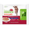 Image de Natural trainer adulte - 4 x 85 g saumon