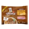 Image de 44 x 100g Ultima Fit & Delicious Mini pour chiens adultes au saumon et à la dinde, nourriture humide pour chien