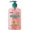 Image de Savon pour les Mains avec Doseur Antibacterias Kitchen Sanytol (250 ml)