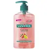Image de Savon pour les Mains - Sanytol - Kitchen - 250 ml - Antibactérien - Sans parabène
