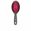 Image de Brosse Beter Deslía Bright Day Rose