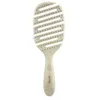 Image de Brosse beter