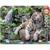 Image de Educa Tigres royaux du Bengale (1000 pièces)