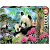 Image de Educa Panda du matin (1000 pièces)