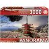 Image de EDUCA 3000 mont fuji et pagod