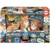 Image de EDUCA 200 petits chats voyage