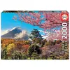 Image de Puzzle 2000 pièces Educa Château d'Osaka