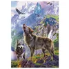 Image de Puzzle 500 pièces : Loups Sur Les Rochers Educa