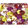 Image de Educa 19558 Puzzle 1000 Pcs. Collage d'orchidées (1000 pièces)